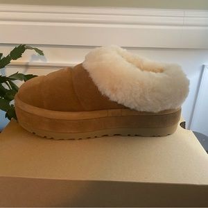 Ugg Tazzlita Chestnut Sz 8 - New in Box